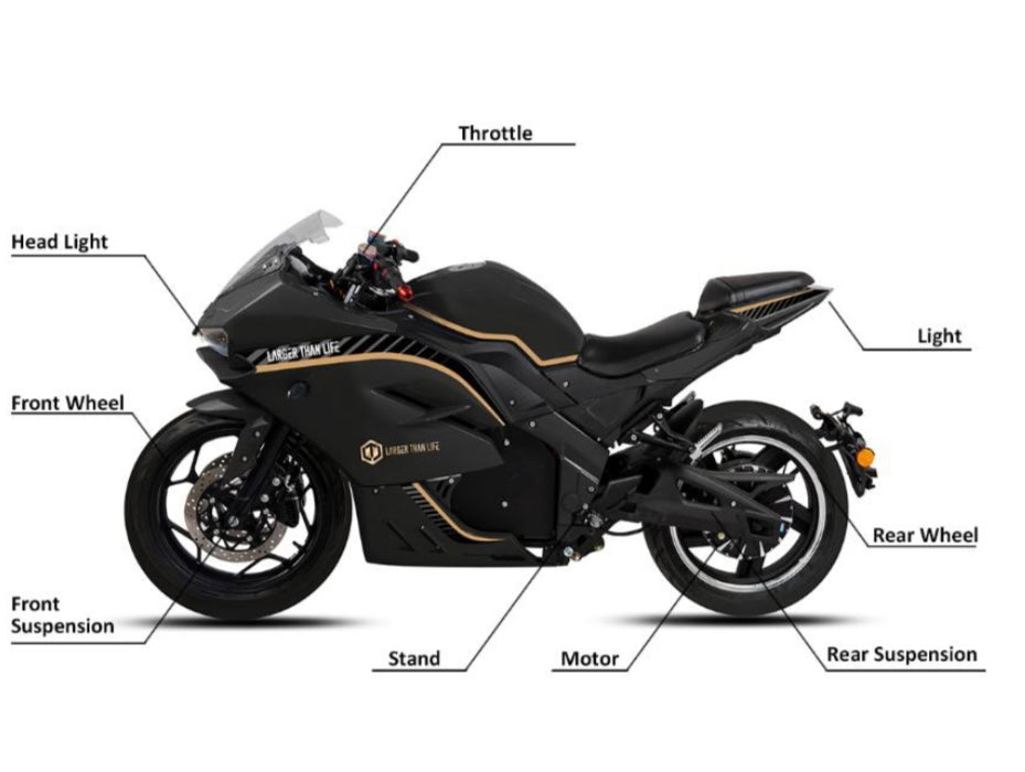 The F-E-nix | Electric Zoom – My Store